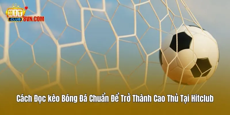 Cách Đọc Kèo Bóng Đá Chuẩn Để Trở Thành Cao Thủ Tại Hitclub 8 Cách Đọc Kèo Bóng Đá Chuẩn Để Trở Thành Cao Thủ Tại Hitclub