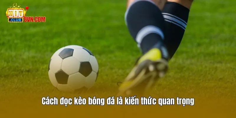 Cách đọc kèo bóng đá là kiến thức quan trọng