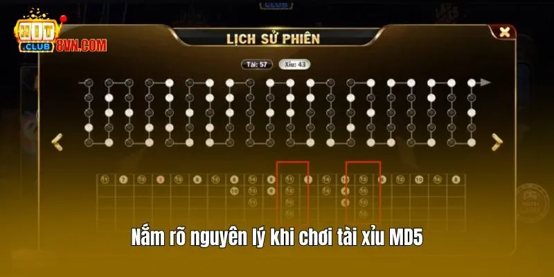 Tham Gia Tài Xỉu MD5 Và Bí Quyết Cược Thắng Lớn Từ Hitclub 3 Nắm rõ nguyên lý khi chơi tài xỉu MD5