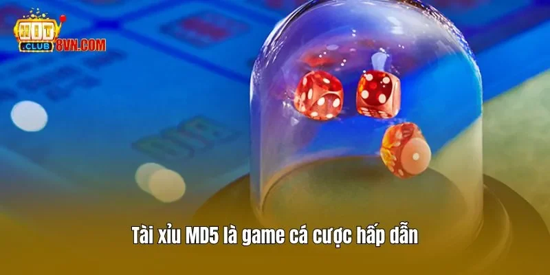 Tham Gia Tài Xỉu MD5 Và Bí Quyết Cược Thắng Lớn Từ Hitclub 2 Tài xỉu MD5 là game cá cược hấp dẫn