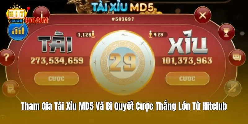 Tham Gia Tài Xỉu MD5 Và Bí Quyết Cược Thắng Lớn Từ Hitclub 1 Tham Gia Tài Xỉu MD5 Và Bí Quyết Cược Thắng Lớn Từ Hitclub